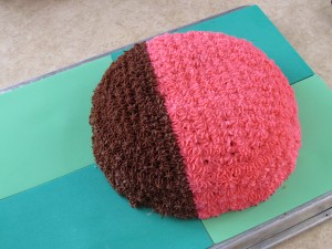 ladybug cake