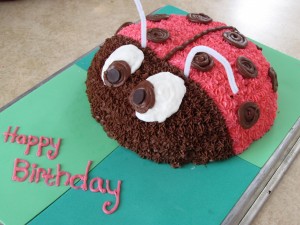 ladybug cake