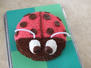 ladybug cake