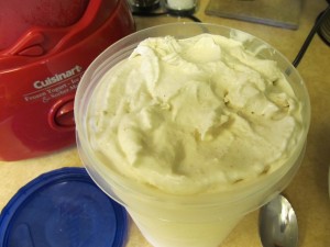 homemade cinnamon spice ice cream