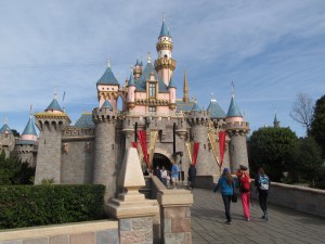 IMG_2377