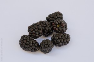 blackberries-391258_1280